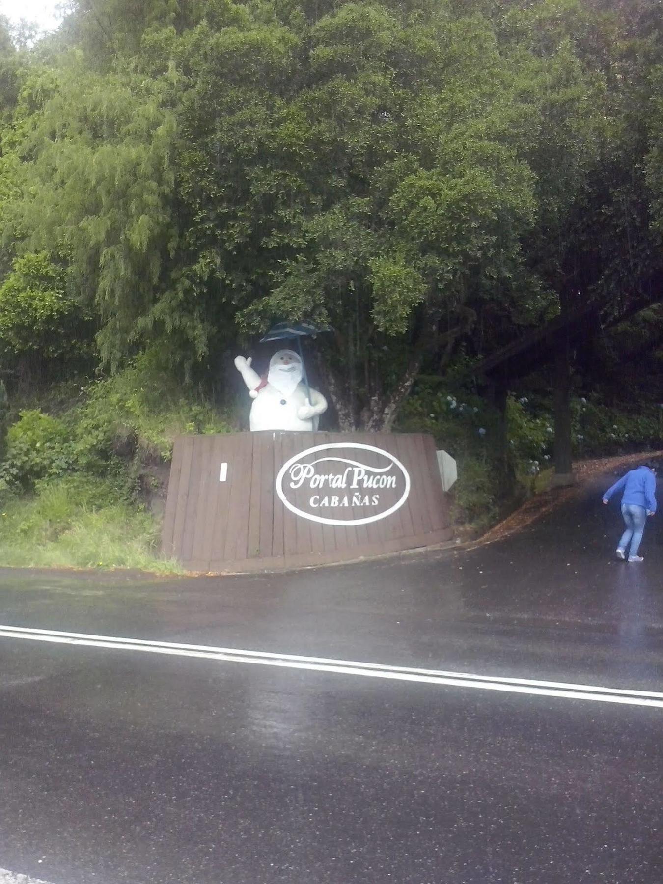 Cabanas Portal Pucon Bagian luar foto